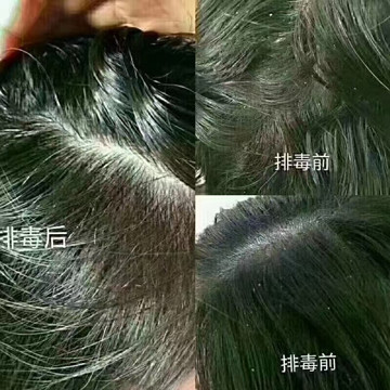 zDֲB(yng)l(f)һNȫµȾl(f)ʽȻֲɷκλW(xu)Ⱦ