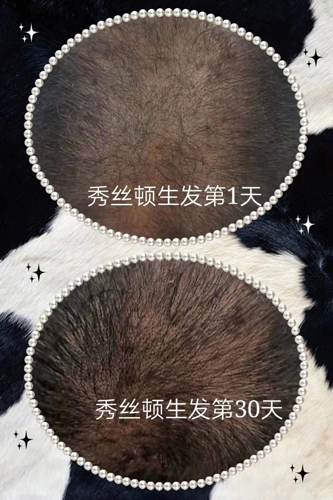 zDֲB(yng)l(f)r(sh)нȻš׌҂һo(h)h(hun)(i)o(h)ԼxȻֲB(yng)l(f)
